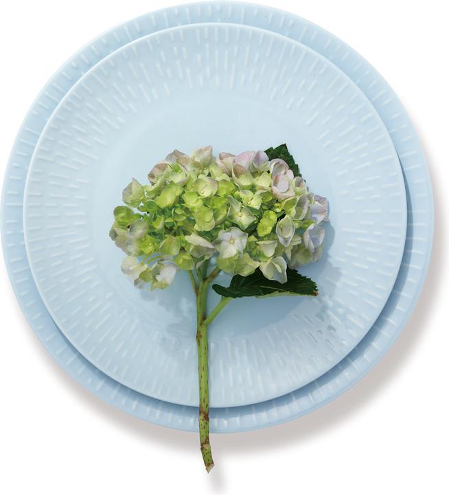 Produktbild Aida Life in Colour - Confetti - Aqua dinner plate w/relief porcelain (13443) (1x)