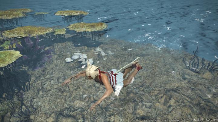 Produktbild Square Enix Final Fantasy XIV (14): Stormblood (PS4, DE)