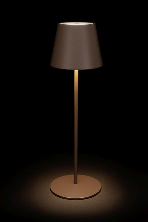 Actual product image STT Luna