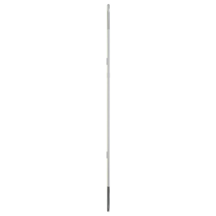 Immagine prodotto vidaXL Wandspiegel (30 x 70 cm)