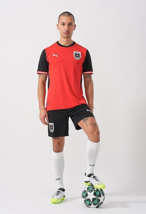 Immagine prodotto Puma ÖFB Shorts Replica (L)