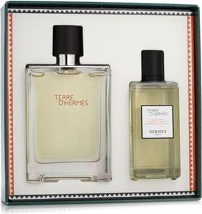 Actual product image Hermès Terre D' EDT 100ml and SG 80ml for Men (Eau de toilette, 100 ml)