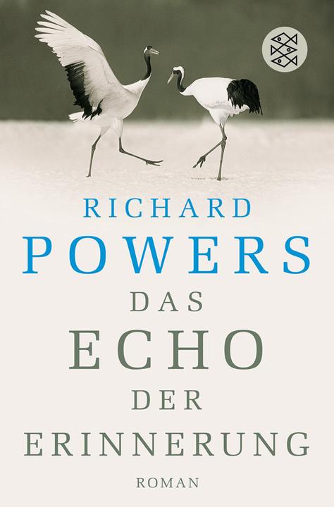 Produktbild Das Echo der Erinnerung (Deutsch, Richard Powers, 2007)