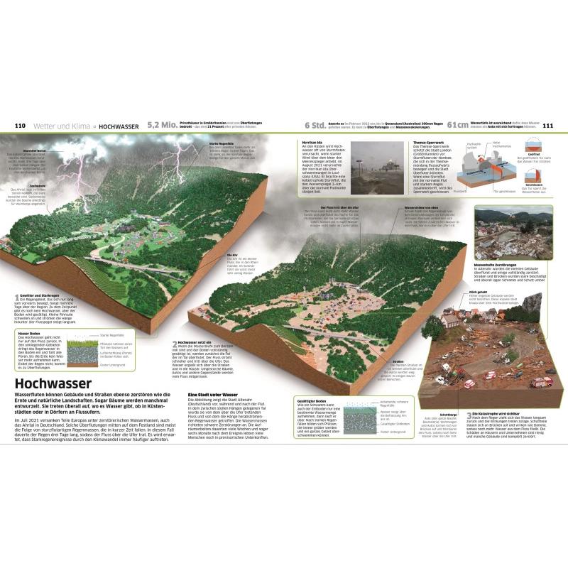 Thumbnail - DK Wissen. Erde, Kinderbücher von Birgit Reit, DK Verlag - Kids