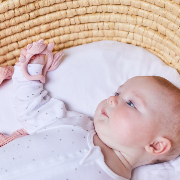 Produktbild B.Box Blush (3 Monate)