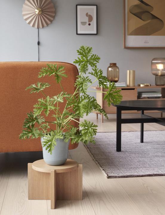 Actual product image Hübsch Robyn (120 x 180 cm)