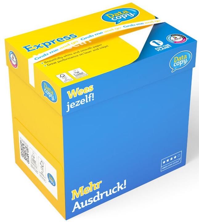 Image du produit Data Copy Papier multifonction Datacopy, 500 feuilles (100 g/m², 500 x, A4)