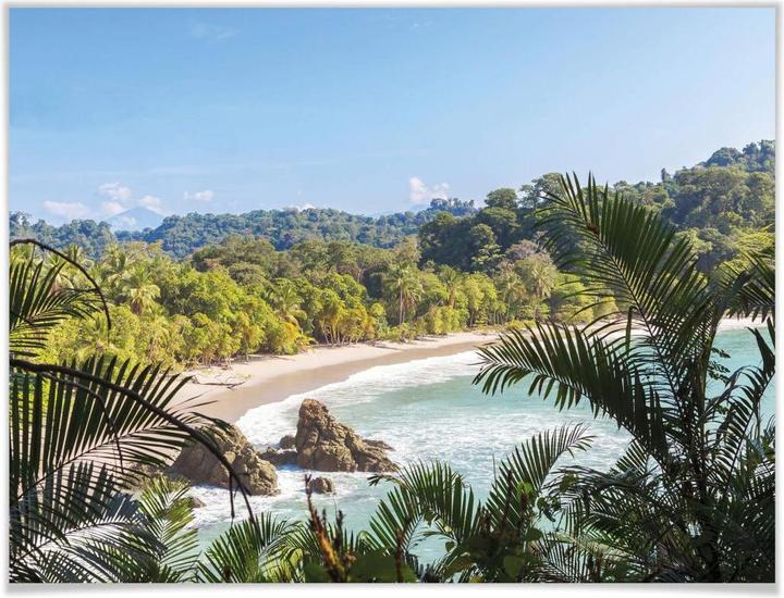 Immagine prodotto Trenddeko Vista sulla giungla in Costa Rica (30 x 24 cm)
