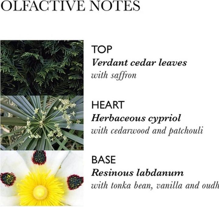 Immagine prodotto Molton Brown Nebbia per capelli al crepuscolo di Labdanum (Latte corpo, 100 ml)