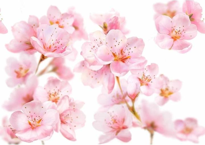 Produktbild Kneipp Foaming Bath Almond Flowers 400ml (Badeperlen)