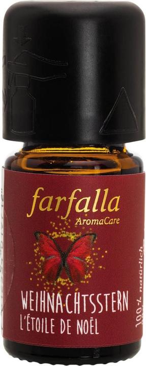 Farfalla Poinsettia
