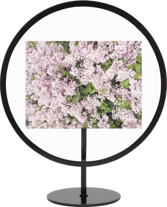 Produktbild Umbra Infinity (10 x 15 cm)