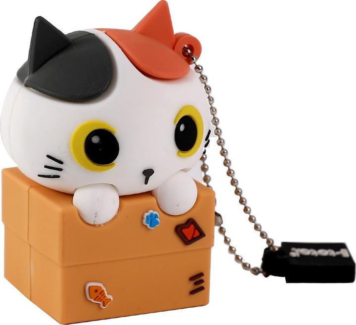 Image du produit Roost Clé USB (32 Go)