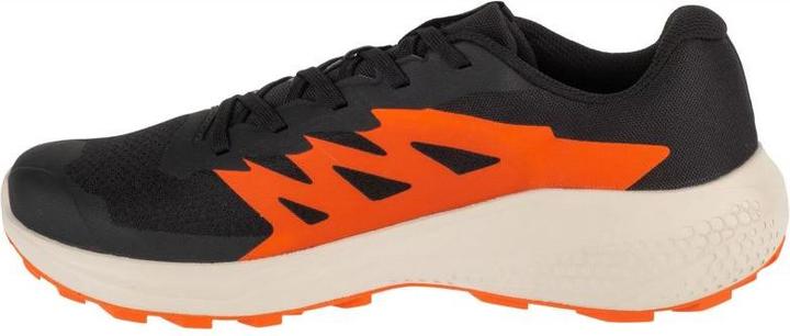 Produktbild Salomon Alphaglide Laufschuhe (46)
