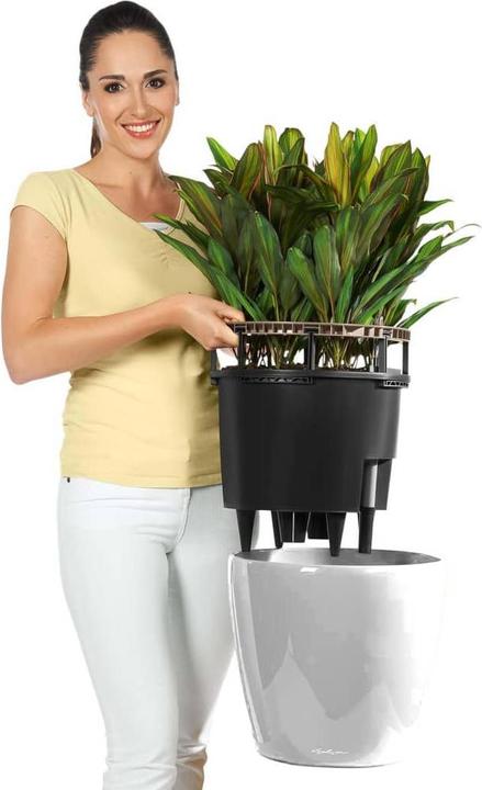 Actual product image Lechuza Classico (36 cm)