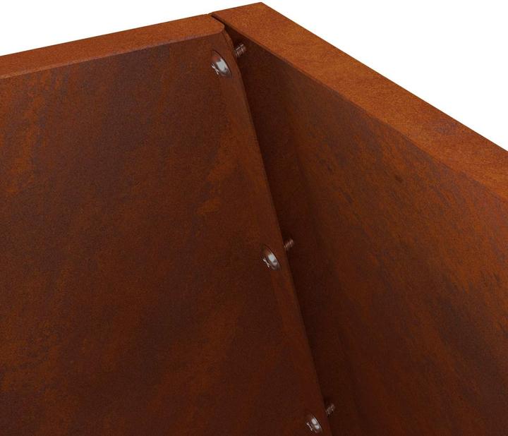 Image du produit vidaXL Holzfeuerstelle