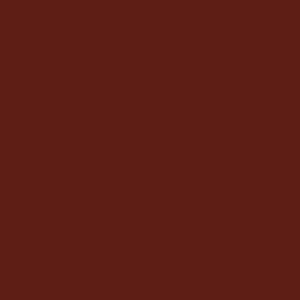 Actual product image Sorel Women's Winter Carnival (39)