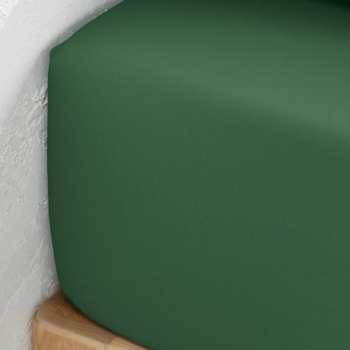 Actual product image La Redoute Interieurs Fixleintuch Scenario aus Baumwollperkal (180 x 200 cm)