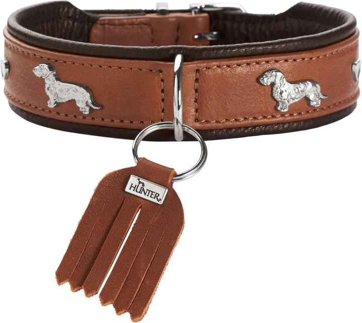 Hunter Collier Teckel Munich 37/XS-S, cuir de boeuf (37, Chien, Général)
