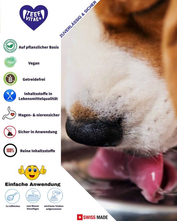 Produktbild Teef Vitae+ Zahnpflege (Hund, Katze)
