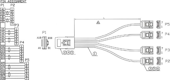 Actual product image InLine SAS cable (OCR), 1x Mini-SAS to 4x SATA
