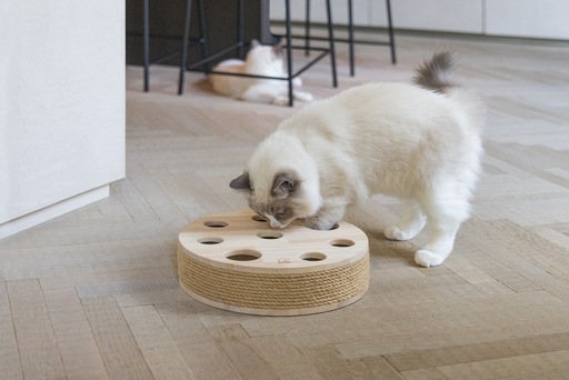 Designed by Lotte Giocattolo per gatti Raya (Catmint giocattolo)