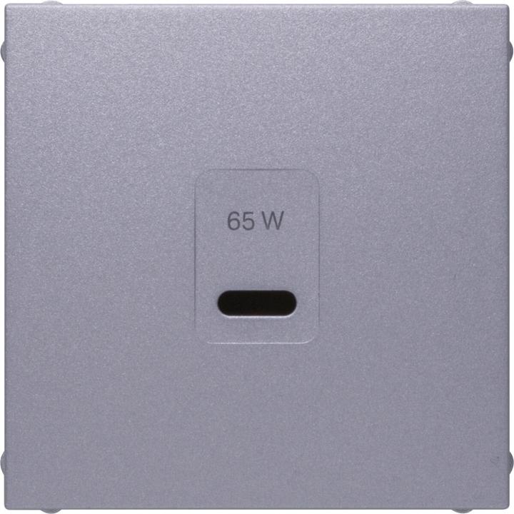 Actual product image Berker Central plate