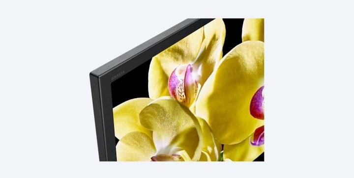 Image du produit Sony KD55XG8096 (55", LCD, 4K, 2019)