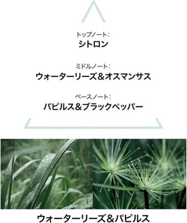 Produktbild Le Couvent Des Minimes Botanique Intense Aquanymphae Edt 100 Ml (Eau de Toilette, 100 ml)