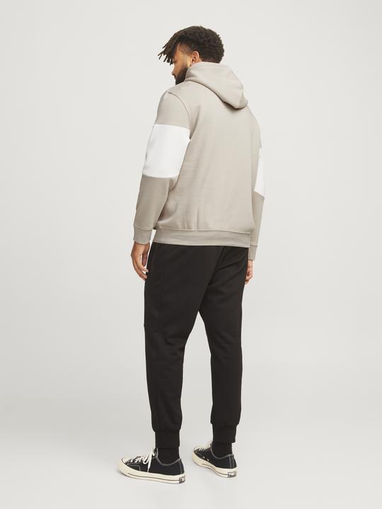 Produktbild Jack & Jones Jjelegacy Blocking Sweat Hood Noos Pls (4XL)