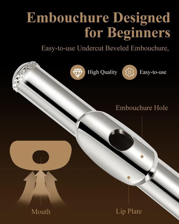 Image du produit Eastar Flûte à bec pour débutants avec accessoires et support (Flûte traversière, Droites)