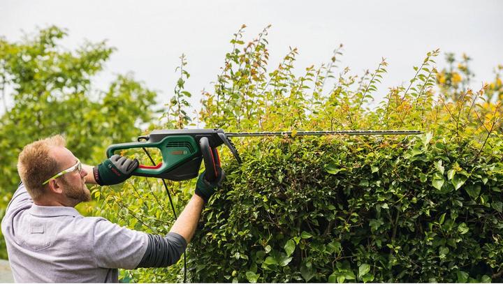 Produktbild Bosch Home & Garden Heckenschere AdvancedHedgeCut 65 (Netzbetrieb)