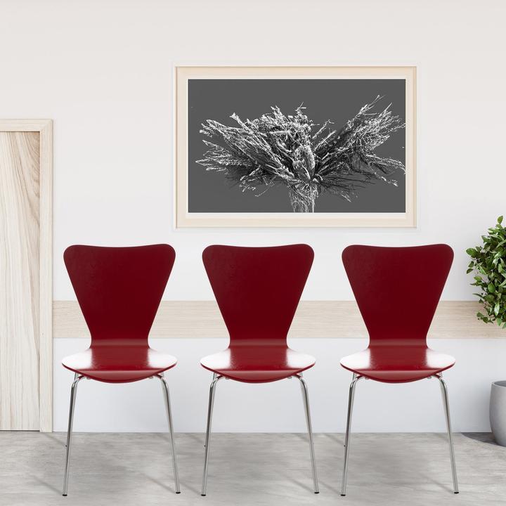 Image du produit CLP Calisto