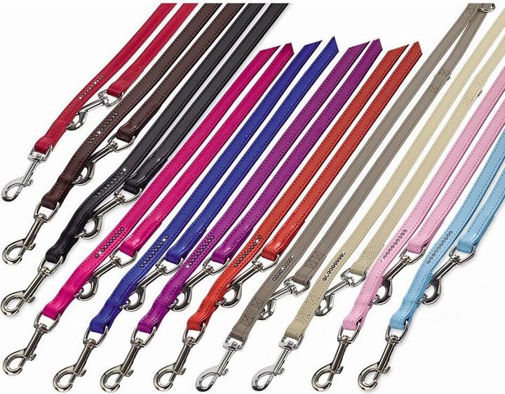 Actual product image Nobby Crystal leash (M, S, Dog)