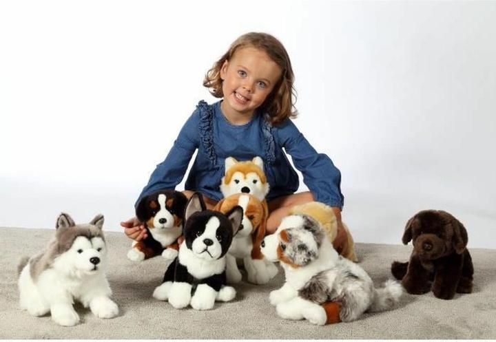 Actual product image Gipsy Australian Shepherd Dog