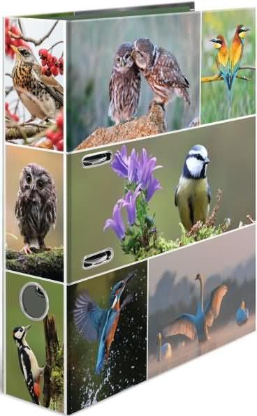 Actual product image HERMA A4 folder motif (A4, 70 mm, 1 pcs.)