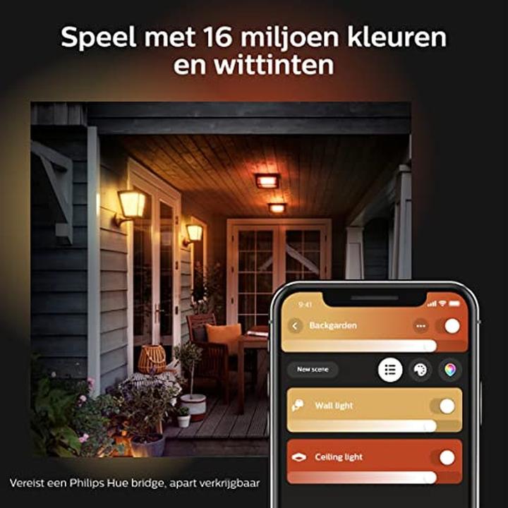 Actual product image Philips Hue Econic Base (1150 lm)