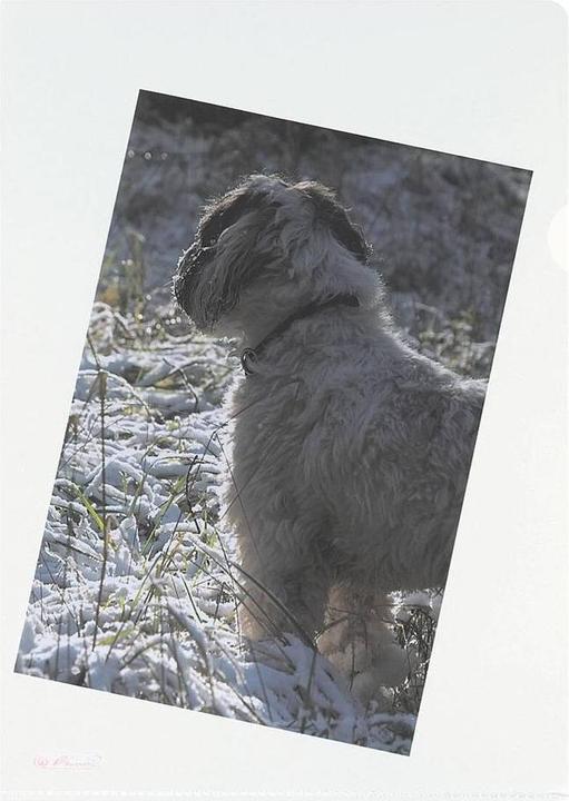 Actual product image Herlitz Visual cover (A4, 100 x)
