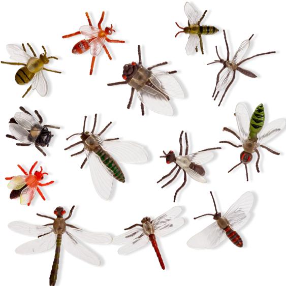 Actual product image The twiddlers Insects