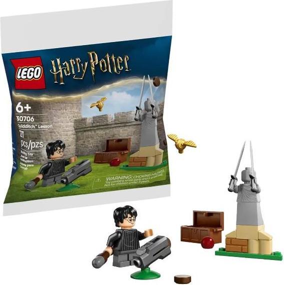Produktbild LEGO Quidditch Training (LEGO Harry Potter)