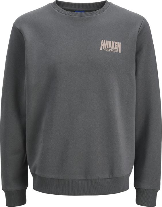 Actual product image Jack & Jones Back print sweatshirt Sweatshirt (XS)