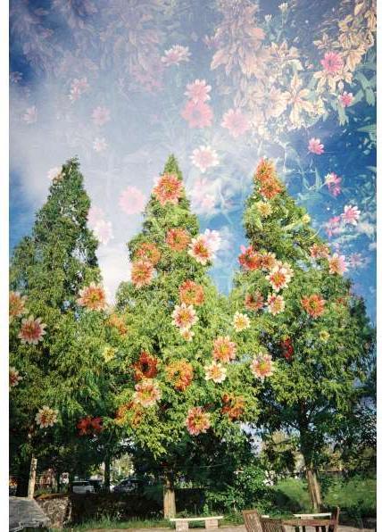 Actual product image Kodak Snapic A1 35mm Film Camera