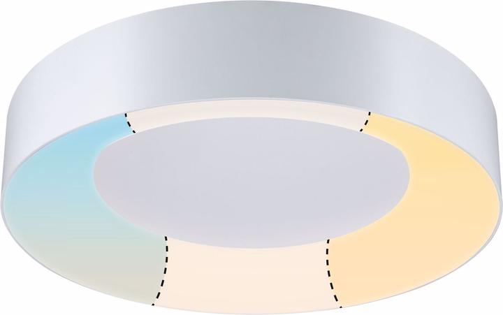 Image du produit Paulmann Plafonnier Casca (3200 lm)