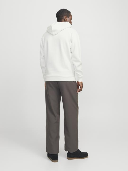 Actual product image Jack & Jones Jjebradley Sweat Hood Noos (L)