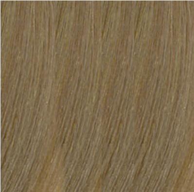Image du produit L'Oréal Professionnel Dia Richesse (8.31)