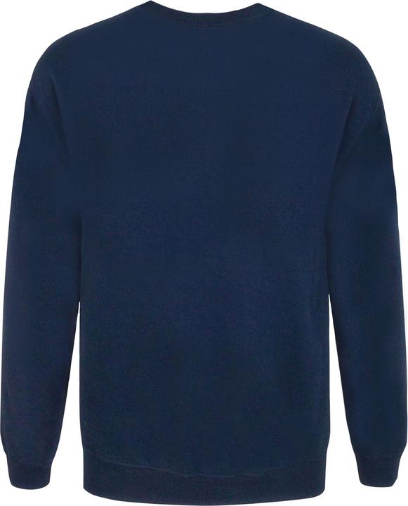 Immagine prodotto Flash - TV STAR Laboratories - Felpa - Unisex (M)