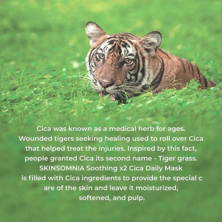 Actual product image Skinsomnia Soothing X2 CICA Daily Mask