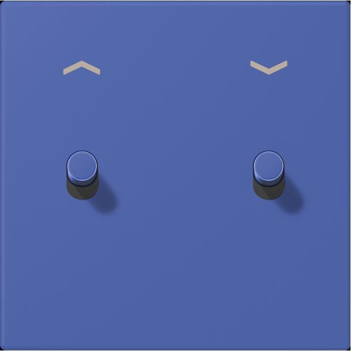 Actual product image JUNG Cover with toggle lever