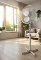 Immagine prodotto Esperanza Uragano