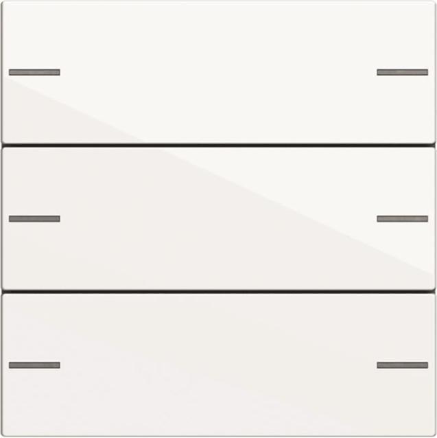 Actual product image Gira Rocker set